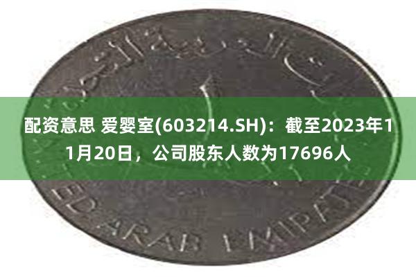 配资意思 爱婴室(603214.SH)：截至2023年11月20日，公司股东人数为17696人