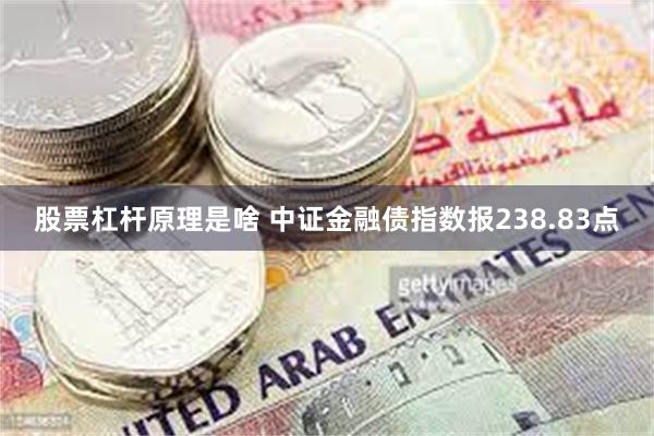 股票杠杆原理是啥 中证金融债指数报238.83点