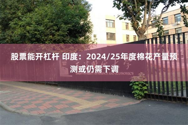 股票能开杠杆 印度：2024/25年度棉花产量预测或仍需下调