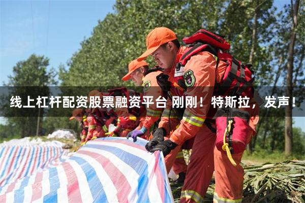 线上杠杆配资股票融资平台 刚刚！特斯拉，发声！