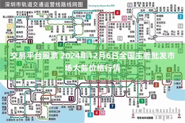 交易平台股票 2024年12月6日全国主要批发市场大蒜价格行情