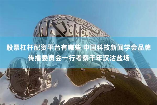 股票杠杆配资平台有哪些 中国科技新闻学会品牌传播委员会一行考察千年汉沽盐场