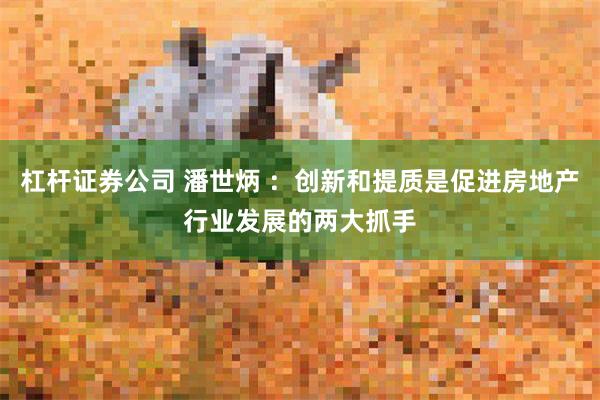 杠杆证券公司 潘世炳 ：创新和提质是促进房地产行业发展的两大抓手