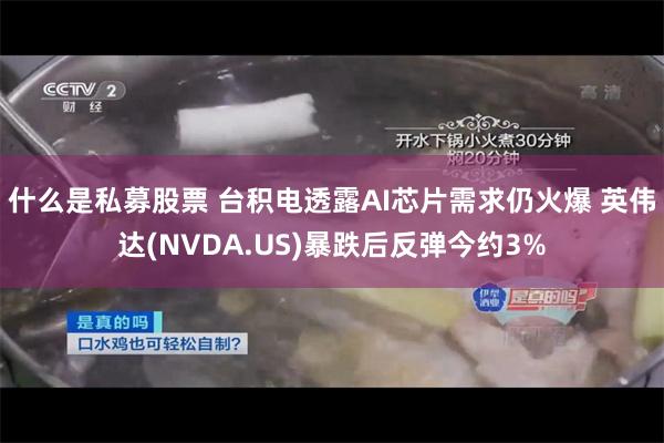 什么是私募股票 台积电透露AI芯片需求仍火爆 英伟达(NVDA.US)暴跌后反弹今约3%