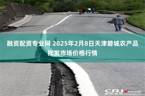 融资配资专业网 2025年2月8日天津碧城农产品批发市场价格行情