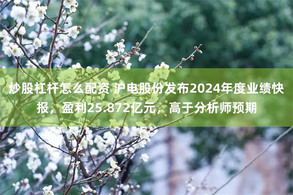 炒股杠杆怎么配资 沪电股份发布2024年度业绩快报，盈利25.872亿元，高于分析师预期