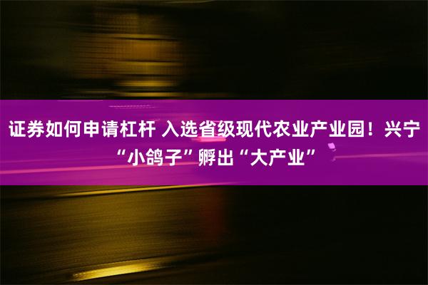 证券如何申请杠杆 入选省级现代农业产业园！兴宁“小鸽子”孵出“大产业”