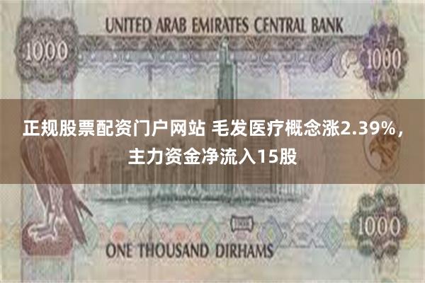 正规股票配资门户网站 毛发医疗概念涨2.39%，主力资金净流入15股