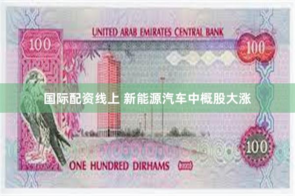 国际配资线上 新能源汽车中概股大涨