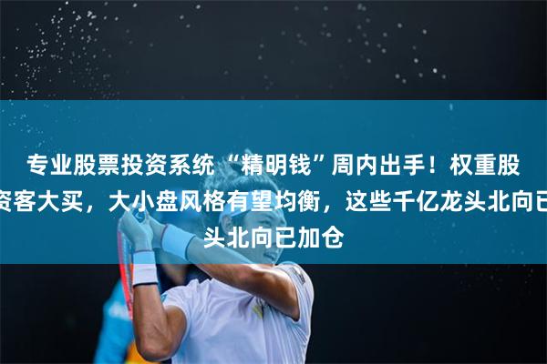 专业股票投资系统 “精明钱”周内出手！权重股获融资客大买，大小盘风格有望均衡，这些千亿龙头北向已加仓